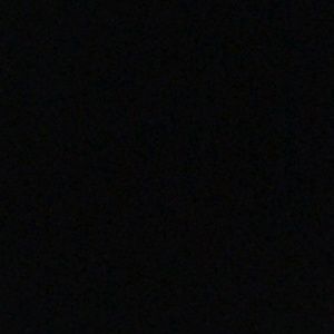 Meet your Posher, Shy